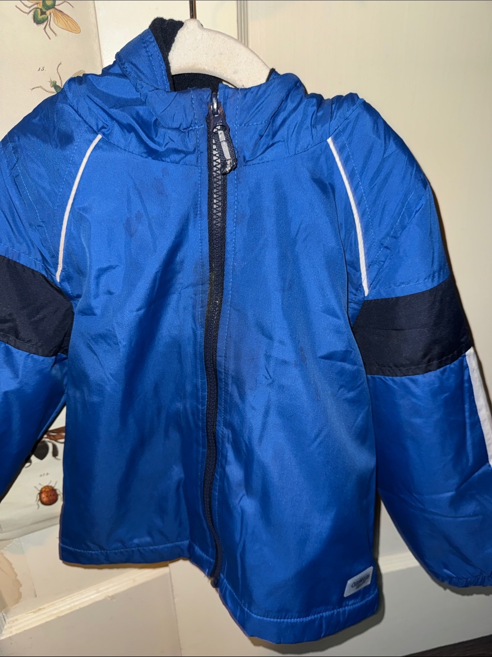 Blue Kids Waterproof Hooded Jacket - 4T